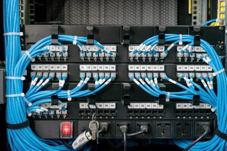 network patch panel with labeled blue ethernet cables